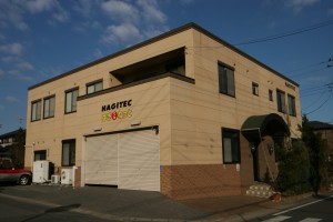 HAGITEC LTD